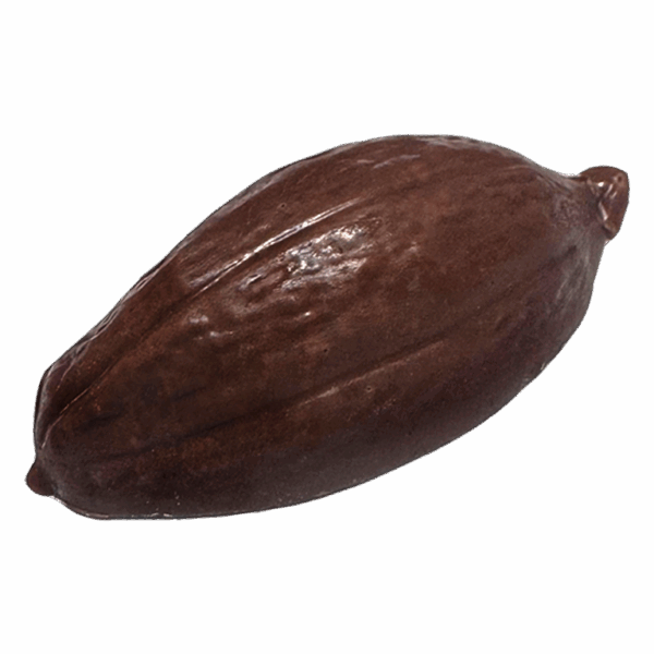 Chocolate de leche - Imagen 1