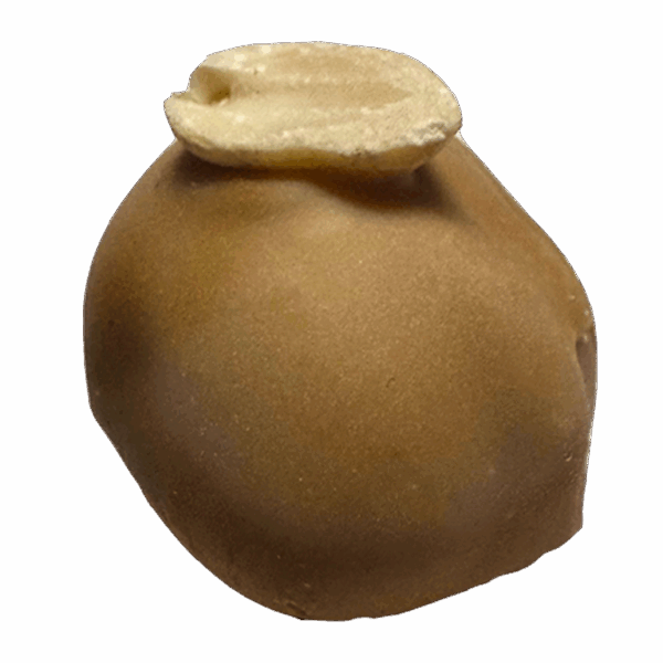 Trufa de maní - Imagen 1